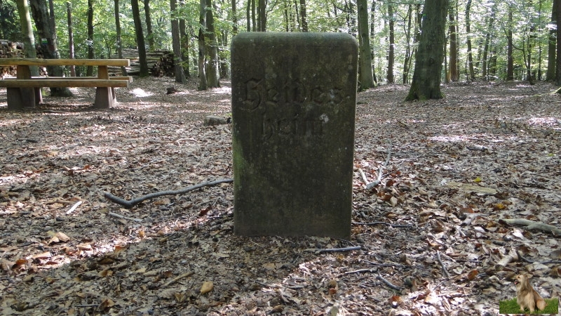 Ritterstein Nr. 289-19 Hier befand sich das Landgericht auf dem Stampe - Gerichtsstätte der Grafen von Leiningen.JPG - Ritterstein Nr.289 Hier befand sich das Landgericht auf dem Stampe - Gerichtsstätte der Grafen von Leiningen